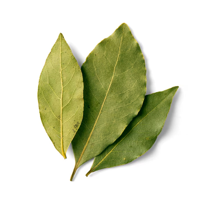 Bay leaf
