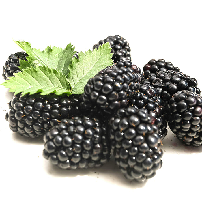 Blackberries