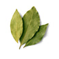 Bay leaf