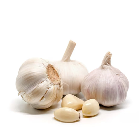 Garlic