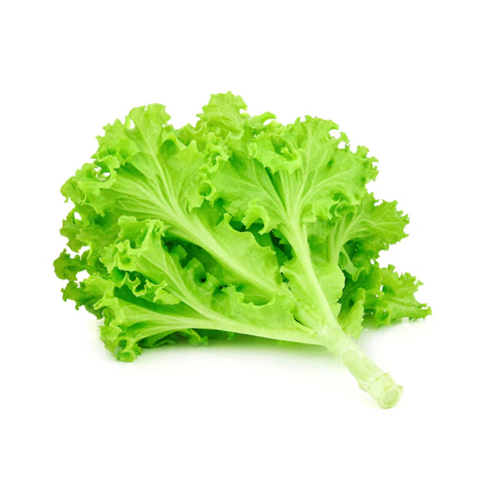 Green lettuce