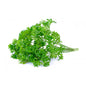 Parsley