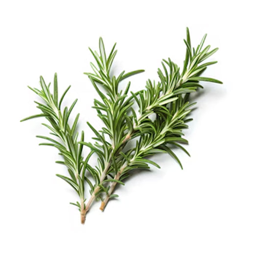 Rosemary