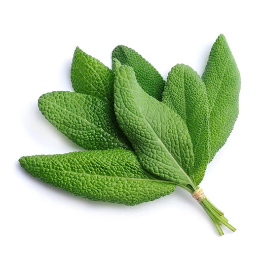 Sage
